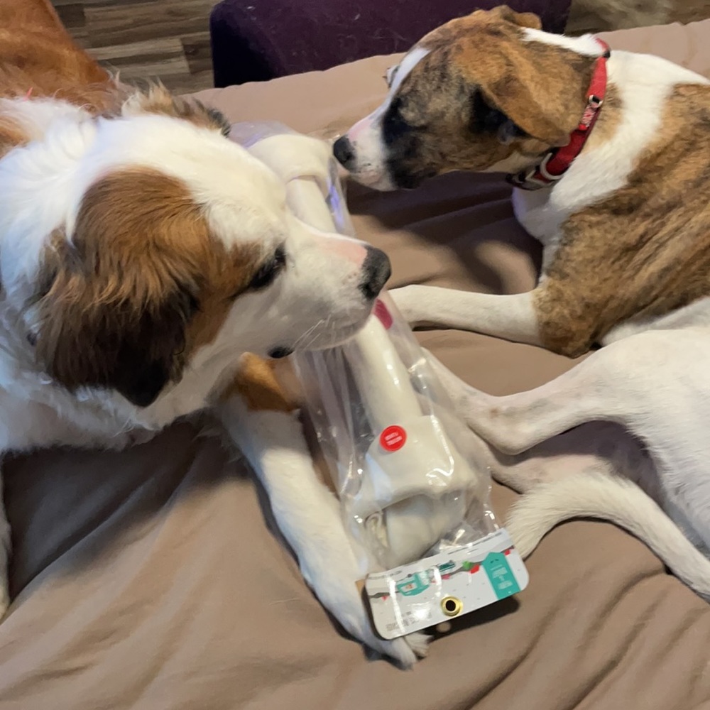 New w/o packaging Giant Rawhide Bone